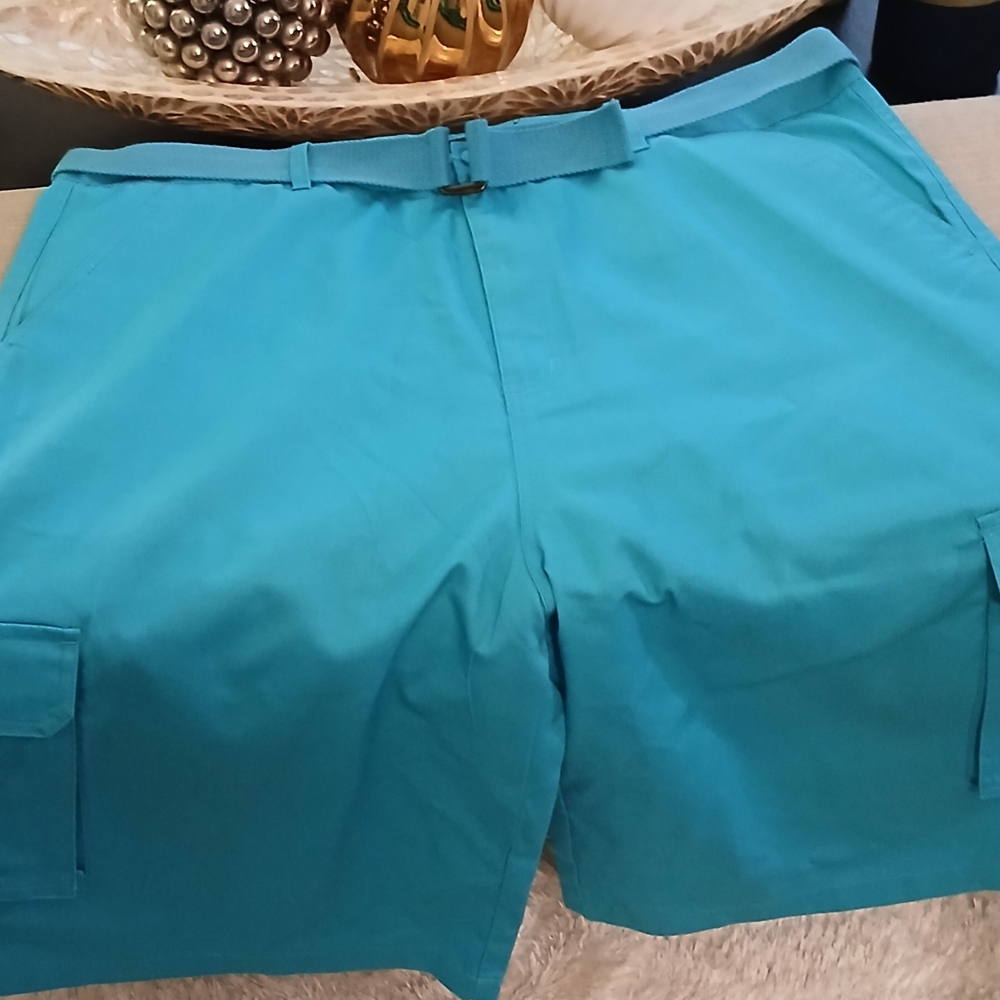Men's Teal Cargo Shorts